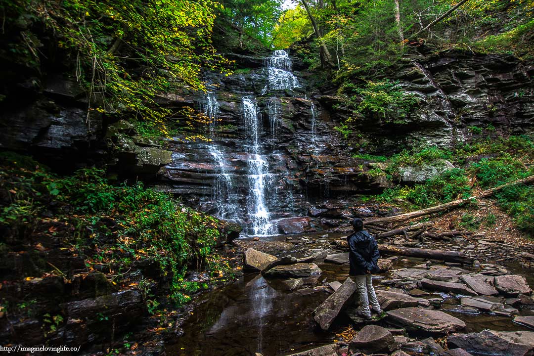 Ricketts Glen Falls Hike